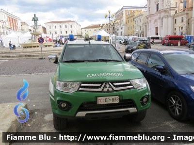 Mitsubishi L200 IV serie
Carabinieri
Comando Carabinieri Unità per la Tutela Forestale Ambientale ed Agroalimentare
Nucleo Cinofilo Antiveleno (NCA)
CC DP 838
Parole chiave: Mitsubishi L200_IVserie CCDP838