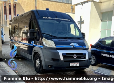 Fiat Ducato X250
Polizia Penitenziaria 
Servizio Traduzioni e Piantonamenti 
Veicolo per Traduzione Detenuti 
Allestimento Mussa&Grazuano
POLIZIA PENITENZIARIA 050 AF
Parole chiave: Fiat Ducato_X250 POLIZIAPENITENZIARIA050AF