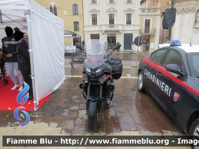 Yamaha Tracer 9
Carabinieri
Nucleo Operativo Radiomobile
Allestimento Elevox 
CC A7303
Parole chiave: Yamaha Tracer_9 CCA7303