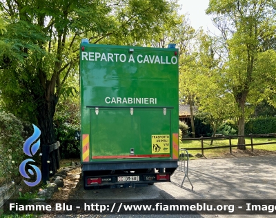 Iveco Daily IV serie 
Carabinieri 
Comando Carabinieri Unità per la Tutela Forestale Ambientale ed Agroalimentare 
Reparto A Cavallo
CC DM 581
Parole chiave: Iveco Daily_IVserie CCDM581