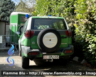 Nissan Terrano II serie restyle 
Carabinieri 
Comando Carabinieri unità per la Tutela Forestale Ambientale ed Agroalimentare 
CC DM 593
Parole chiave: Nissan Terrano_IIserie_restyle CCDM593