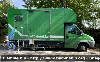 Iveco Daily IV serie 
Carabinieri 
Comando Carabinieri Unità per la Tutela Forestale Ambientale ed Agroalimentare 
Reparto A Cavallo
CC DM 581
Parole chiave: Iveco Daily_IVserie CCDM581