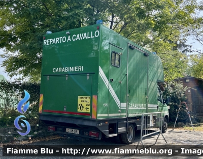 Iveco Daily IV serie 
Carabinieri 
Comando Carabinieri Unità per la Tutela Forestale Ambientale ed Agroalimentare 
Reparto A Cavallo
CC DM 581
Parole chiave: Iveco Daily_IVserie CCDM581