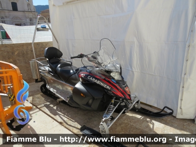 Yamaha Venture Multi Purpose
Carabinieri
Soccorso Alpino
Parole chiave: Yamaha Venture_Multi_Purpose