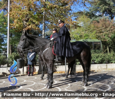 Carabinieri
Comando Carabinieri Unità per la Tutela Forestale Ambientale ed Agroalimentare
Reparto A Cavallo
Parole chiave: Carabinieri Reparto A Cavallo