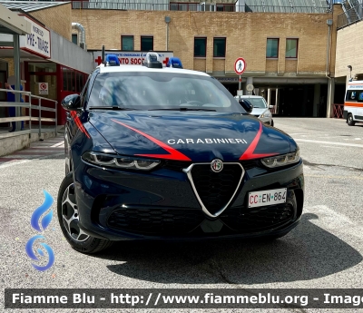 Alfa Romeo Tonale
Carabinieri 
Nucleo Operativo Radiomobile 
Allestimento FCA
CC EN 864
Parole chiave: Alfa-Romeo Tonale CCEN864