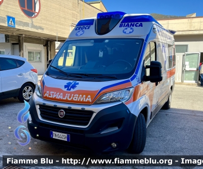 Fiat Ducato X290
Pubblica Assistenza Croce Bianca L’Aquila 
Allestimento Orion 
Automezzo 33
Parole chiave: Fiat Ducato_X290 Ambulanza