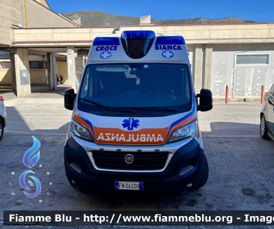 Fiat Ducato X290
Pubblica Assistenza Croce Bianca L’Aquila 
Allestimento Orion 
Automezzo 33
Parole chiave: Fiat Ducato_X290 Ambulanza