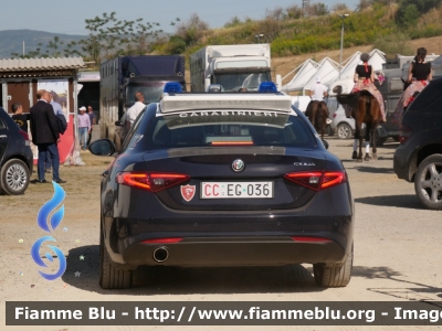 Alfa Romeo nuova Giulia
Carabinieri
Nucleo Operativo Radiomobile
Allestimento FCA
CC EG 036
Parole chiave: Alfa-Romeo nuova_Giulia CCEG036