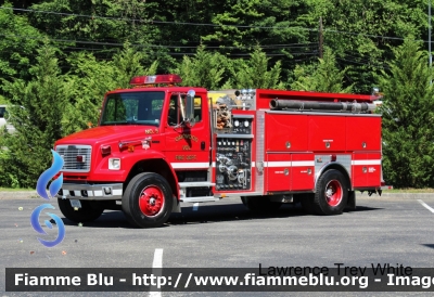 Freightliner FL80
United States of America-Stati Uniti d'America
Oakwood VA Fire & Rescue
