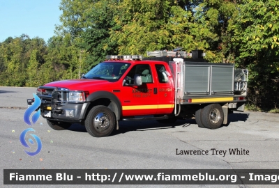 Ford F-550
United States of America - Stati Uniti d'America
Amherst VA Volunteer Fire Department
