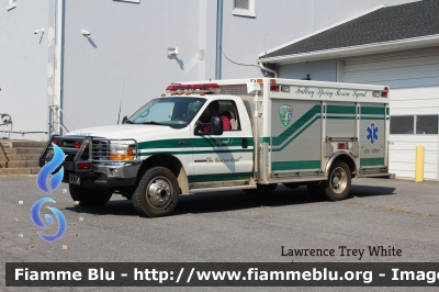 Ford F-550
United States of America - Stati Uniti d'America
Falling Spring Rescue Squad VA
Parole chiave: Ambulance Ambulanza