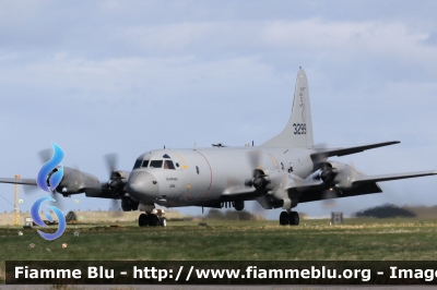 Lockheed P-3 Orion
Kongeriket Norge - Kongeriket Noreg - Norvegia
Kongelige Norske Luftforsvaret  - Aereonautica Militare Norvegese
