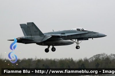 McDonnell Douglas CF-18 Hornet
Canada
Canadian Armed Forces - Forces armées canadiennes
