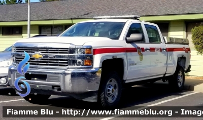 Chevrolet Silverado
United States of America - Stati Uniti d'America
CalFire
