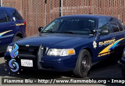 Ford Crown Victoria
United States of America-Stati Uniti d'America
Alameda County CA Sheriff
