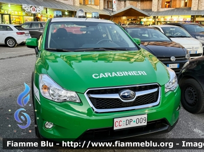 Subaru XV I serie
Carabinieri
Comando Carabinieri Unità per la tutela Forestale, Ambientale e Agroalimentare
CC DP 009
Parole chiave: Subaru XV_Iserie CCDP009