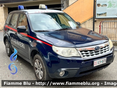 Subaru Forester V serie
Carabinieri
Allestimento Cita Seconda
CC CY 075
Parole chiave: Subaru Forester_Vserie CCCY075