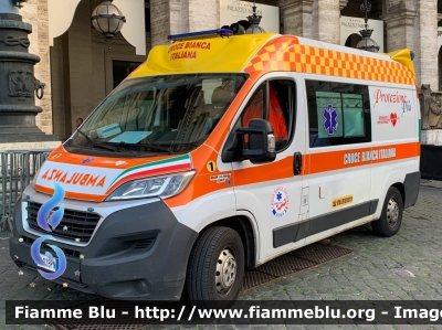 Fiat Ducato X290
Croce Bianca Italiana Roma
Parole chiave: Fiat Ducato_X290