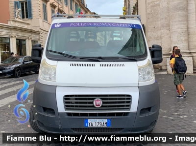 Fiat Ducato X250
Polizia Roma Capitale
trasporto segnali stradali
POLIZIA LOCALE YA 179 AM
Parole chiave: Fiat Ducato_X250 POLIZIALOCALEYA179AM