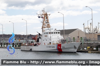 Cutter classe Island
United States of America - Stati Uniti d'America
US Coast Guard
Sitkanak (WPB-1329)
