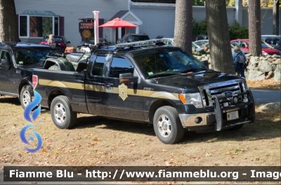 Ford F-150
United States of America - Stati Uniti d'America
Massachusetts Environmental Police
