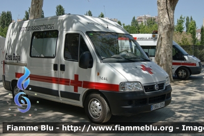 Fiat Ducato III serie
España - Spagna
Cruz Roja Lleida
