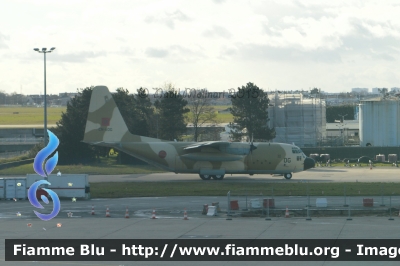 Lockheed C-130H Hercules
مملكة المغربية - ⵜⴰⴳⴻⵍⴷⵉⵜ ⵏ ⵍⵎⴻⵖⵔⵉⴱ - Regno del Marocco
Royal Moroccan Air Force - القوات الجوية الملكي
