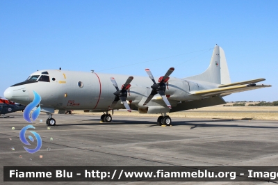 Lockheed P-3C-200-LO Orion
Portugal - Portogallo
Força Aérea Portuguesa
