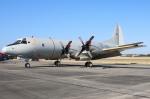 448021993_906475651494850_3707142542392083460_nLockheed_P-3C-200-LO_Orion_Portogallo.jpg