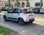 Fiat_Nuova_Panda_Hybrid_I_Serie_AM_3.jpeg