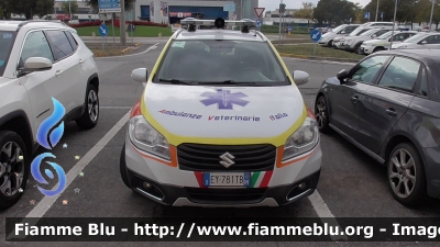 Suzuki S Cross
Renault Scenic III serie
Ambulanze Veterinarie Italia Onlus
Carcare (SV)
Parole chiave: Suzuki S Cross Renault Scenic III serie Ambulanze Veterinarie Italia Onlus Carcare (SV)