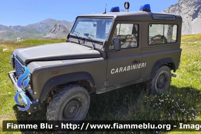 Land Rover Defender 90
Carabinieri
Comando Carabinieri Unità per la tutela Forestale, Ambientale e Agroalimentare
CC BY 845
Parole chiave: Land-Rover Defender_90 CCBY845