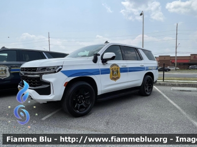 Chevrolet Taohe
United States of America - Stati Uniti d'America
Delaware State Police
