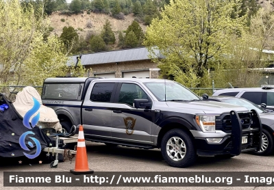 Ford F-150
United States of America - Stati Uniti d'America
Colorado State Patrol
