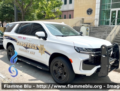 Chevrolet Tahoe
United States of America - Stati Uniti d'America
Harris County TX Constable
