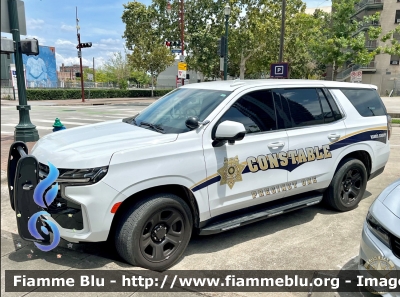 Chevrolet Tahoe
United States of America - Stati Uniti d'America
Harris County TX Constable
