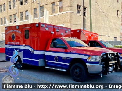 RAM 2500
United States of America - Stati Uniti d'America
Galveston County TX Health District EMS
