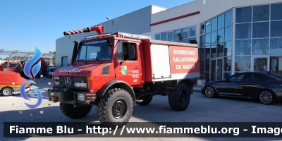 Mercedes-Benz Unimog 1300L
Portugal - Portogallo
Bombeiros Salvaterra de Magos
