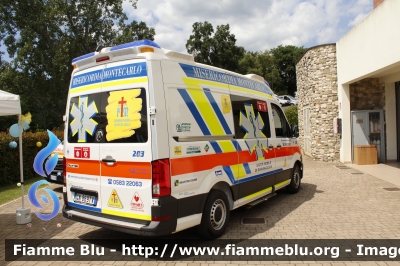 Volkswagen Crafter II Serie 
Misericordia Montecarlo (LU)
Allestito Mariani Fratelli
CODICE AUTOMEZZO: 203
Parole chiave: Volkswagen Crafter_II Serie Ambulanza