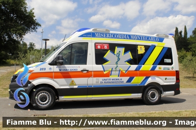 Volkswagen Crafter II serie 
Misericordia Montecarlo (LU)
Allestito Mariani Fratelli
CODICE AUTOMEZZO: 203
Parole chiave: Volkswagen Crafter_IIserie Ambulanza