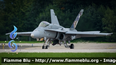 Boeing F/A-18 Hornet
Suomi - Finland - Finlandia
Suomen Ilmavoimat
