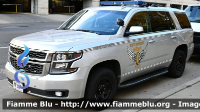 Chevrolet Taohe
United States of America - Stati Uniti d'America
Ohio Highway Patrol
