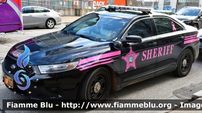 Ford Taurus
United States of America - Stati Uniti d'America
Summit County OH Sheriff
