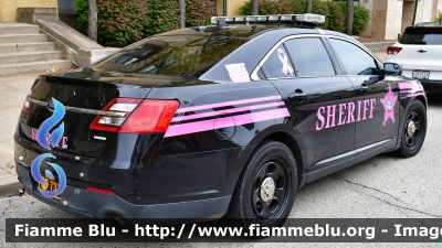 Ford Taurus
United States of America - Stati Uniti d'America
Summit County OH Sheriff
