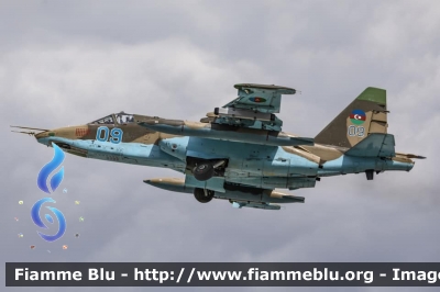 Sukhoi Su-25 Frogfoot
Azərbaycan Respublikası - Azerbaigian
Azərbaycan Hərbi Hava Qüvvələri - Azerbaijani Air Forces - Aereonautica Militare Azerbaigian
