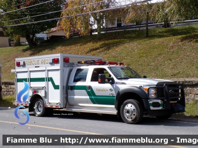 Ford F-550
United States of America - Stati Uniti d'America
Tamaqua PA American Hose Co.
