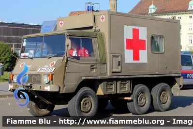 Steyr-Puch Pinzgauer 6X6
Österreich - Austria
Österreichs Bundesheer - Esercito Austriaco
Parole chiave: Ambulanza Ambulance