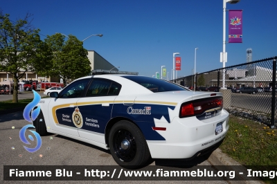 Dodge Charger
Canada
Canadian Border service - Service frontaliers
