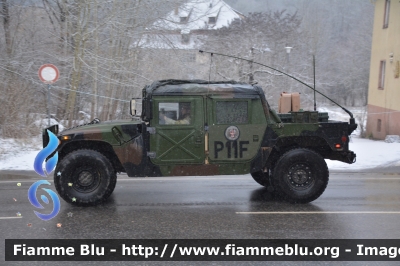 HMMWV Hummer H1
United States of America - Stati Uniti d'America
US Army
